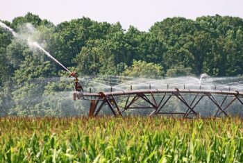 Les enjeux de santé autour de la consommation et de la production d’eau potable